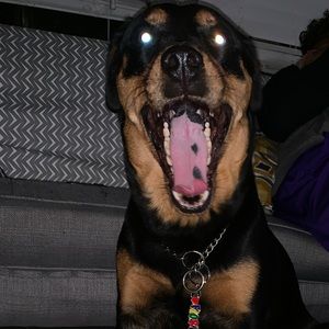 Meet your Posher, Emma